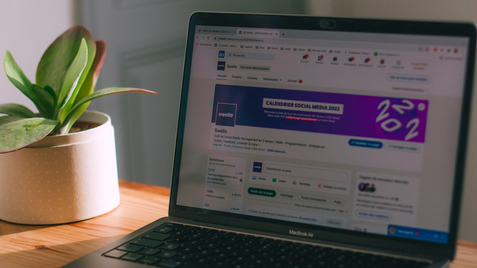 Workflow notes for Domain and hosting basics before you launch a site